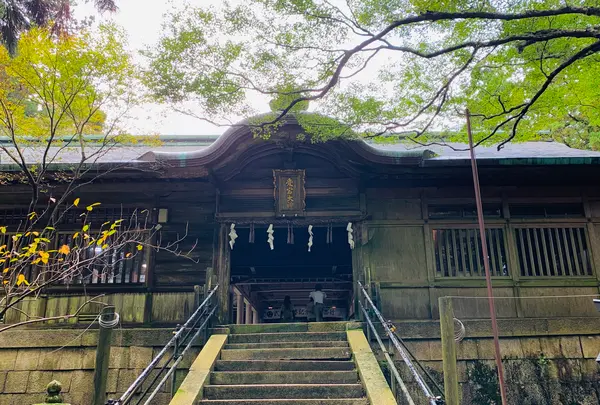 愛宕神社（旧白雲寺）の写真・動画_image_388804