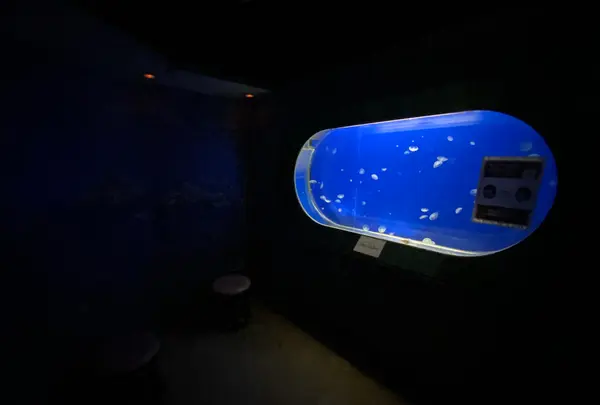 東京ドーム　スパラクーアの写真・動画_image_388918