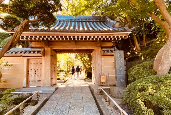 報国寺（竹寺）の写真・動画_image_389193