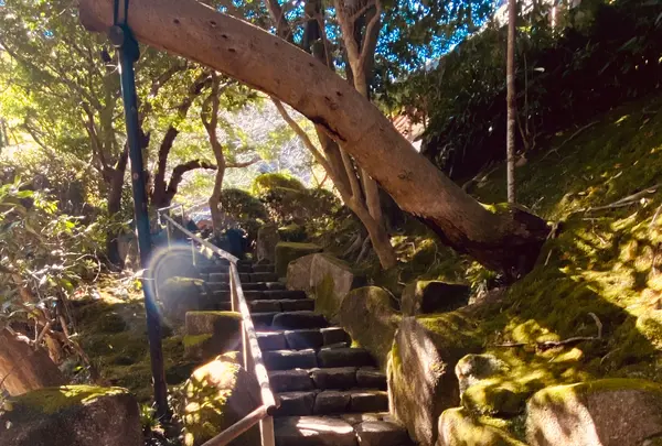 報国寺（竹寺）の写真・動画_image_389194