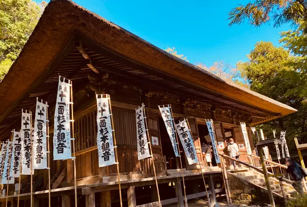 杉本寺の写真・動画_image_389196