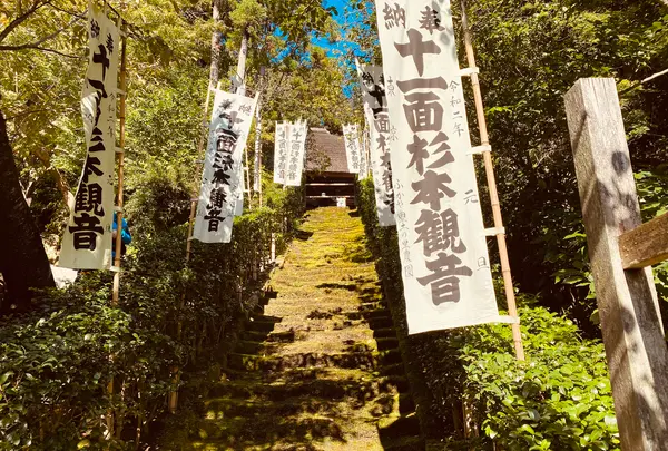 杉本寺の写真・動画_image_389197