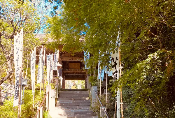 杉本寺の写真・動画_image_389198