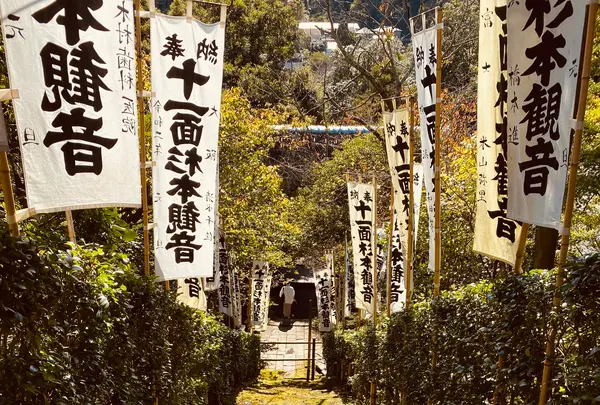 杉本寺の写真・動画_image_389199