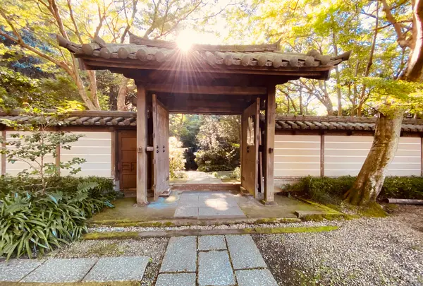 瑞泉寺の写真・動画_image_389202