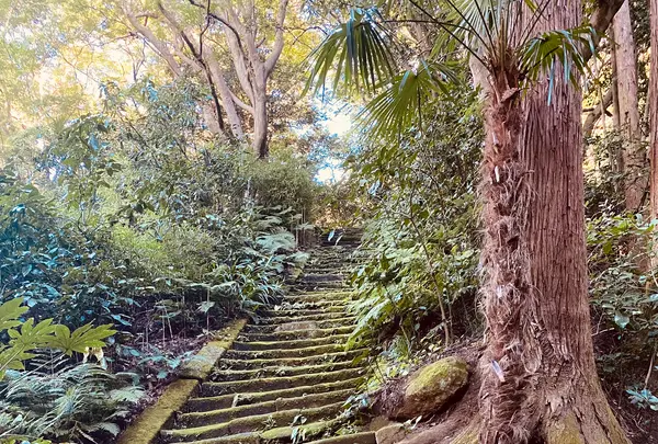 瑞泉寺の写真・動画_image_389205