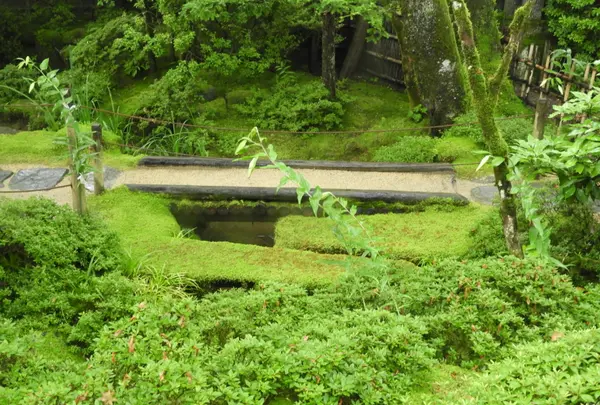 日光山輪王寺 常行堂の写真・動画_image_389229