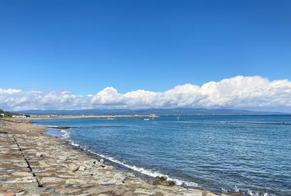 国定公園 雨晴海岸の写真・動画_image_389656