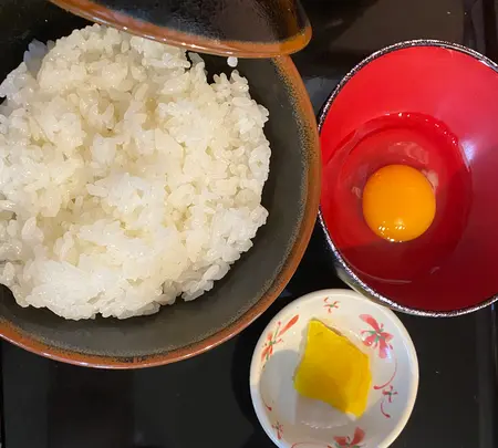 但熊の写真・動画_image_390068