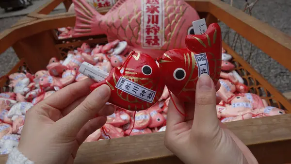 川越氷川神社の写真・動画_image_390115