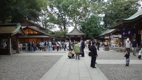 川越氷川神社の写真・動画_image_390116