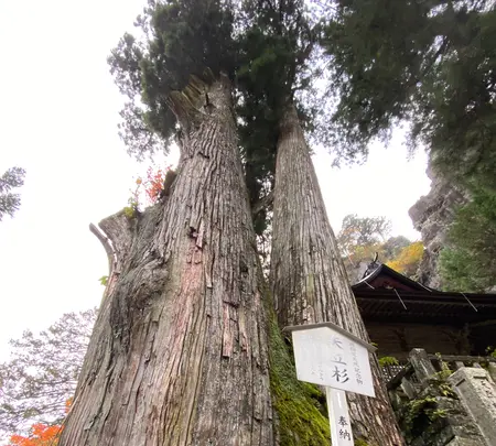 榛名神社の写真・動画_image_390167
