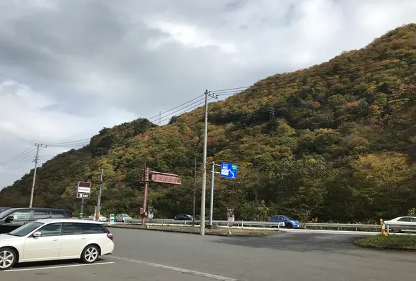 いろは坂の写真・動画_image_390187