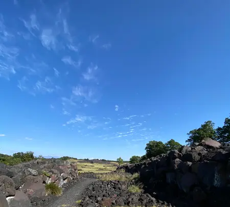 吉井カントリークラブの写真・動画_image_390320