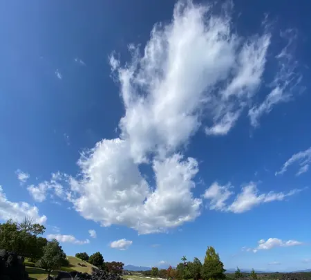 吉井カントリークラブの写真・動画_image_390359