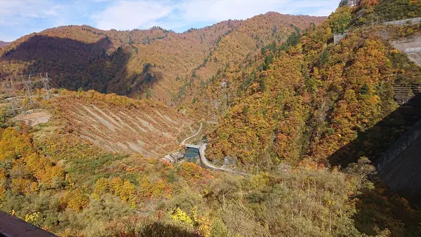 奥只見湖の写真・動画_image_390476