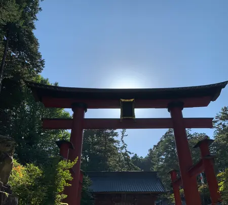 北口本宮冨士浅間神社の写真・動画_image_390521