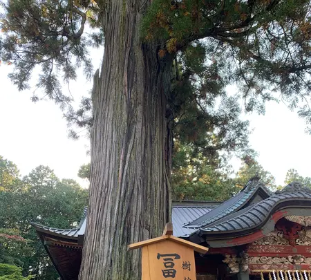 北口本宮冨士浅間神社の写真・動画_image_390522
