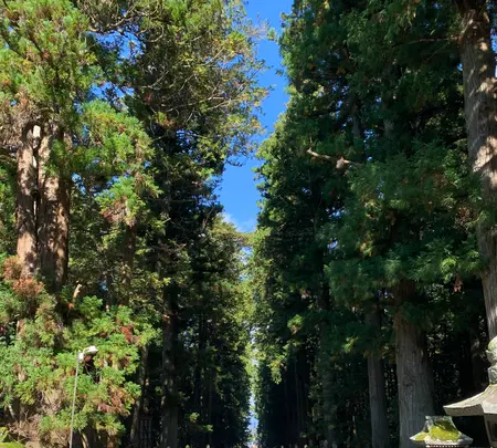 北口本宮冨士浅間神社の写真・動画_image_390525