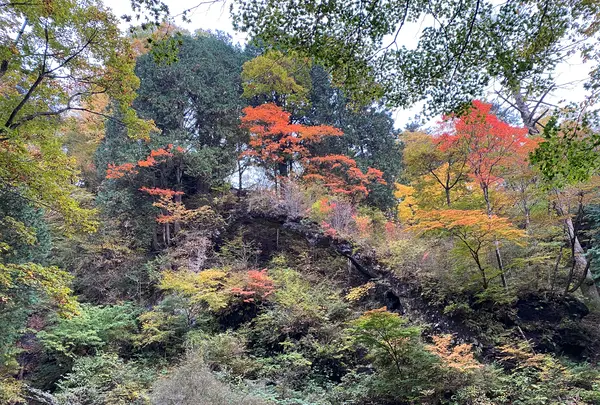 榛名神社の写真・動画_image_390556