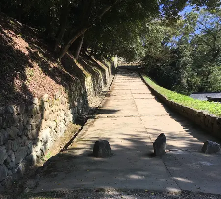 彦根城の写真・動画_image_390636