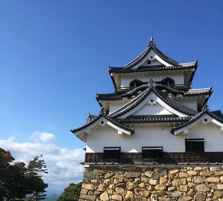 彦根城の写真・動画_image_390637