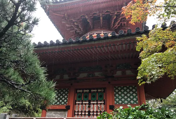 三瀧寺多宝塔の写真・動画_image_391290