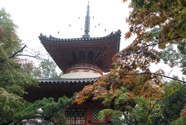 三瀧寺多宝塔の写真・動画_image_391291