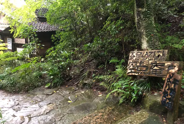 三瀧寺の写真・動画_image_391293