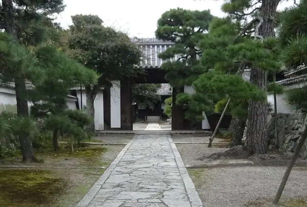 聖衆来迎寺の写真・動画_image_391372