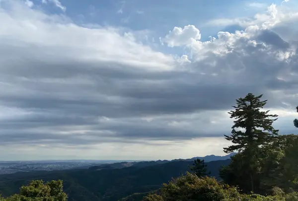 高尾山の写真・動画_image_391473