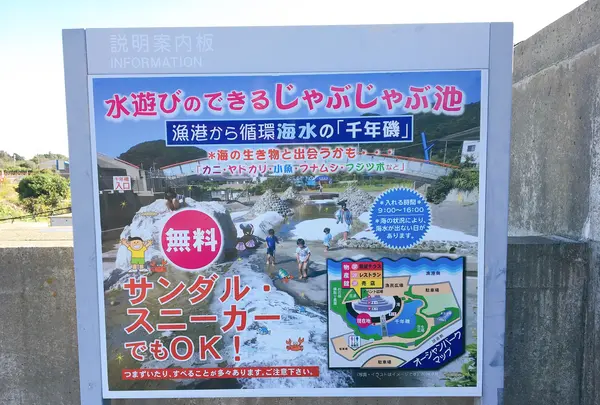 道の駅 鴨川オーシャンパークの写真・動画_image_391620