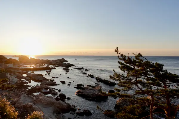 房総鴨川温泉 是空の写真・動画_image_391703