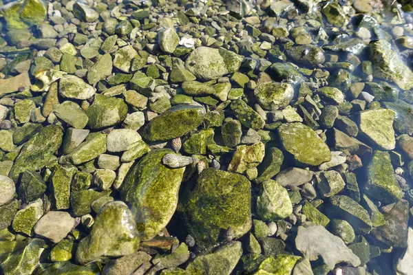 江見太夫崎の写真・動画_image_391723