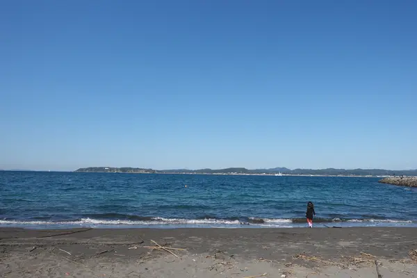 沖ノ島公園の写真・動画_image_391729