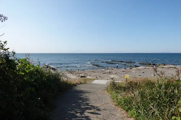 沖ノ島公園の写真・動画_image_391731