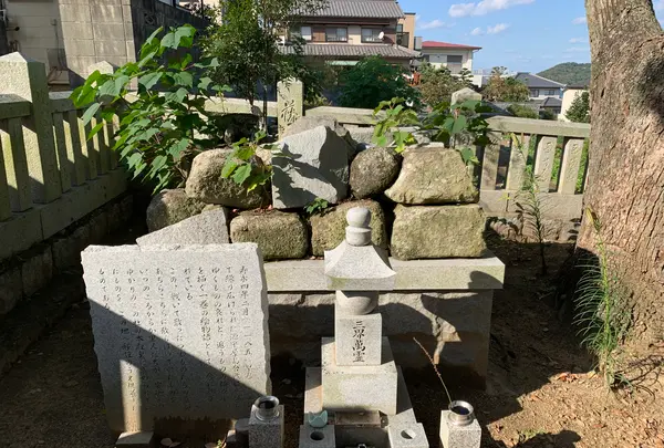 安徳天皇社の写真・動画_image_391839