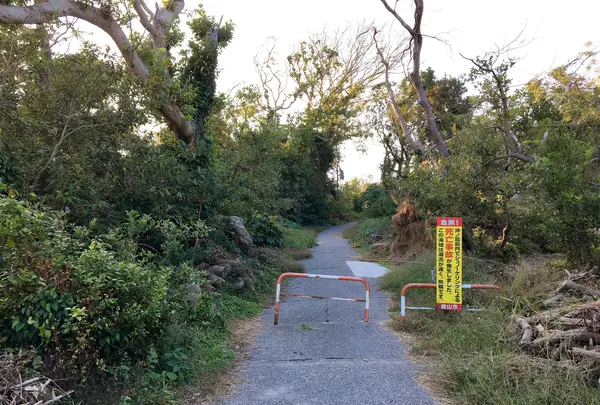 沖ノ島公園の写真・動画_image_391959