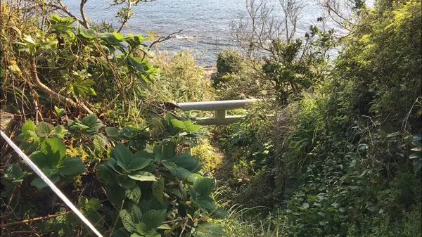 沖ノ島公園の写真・動画_image_391961