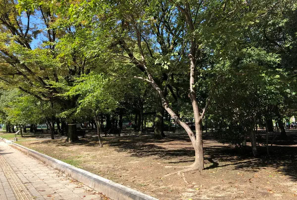 平和の鐘の写真・動画_image_392288