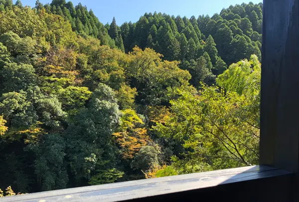 あまてらすの隠れカフェの写真・動画_image_392369