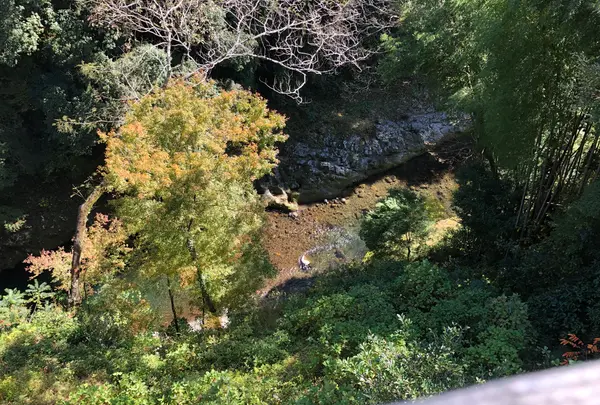 あまてらすの隠れカフェの写真・動画_image_392370