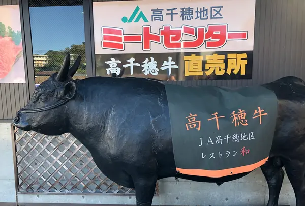 高千穂牛レストラン 和の写真・動画_image_392380