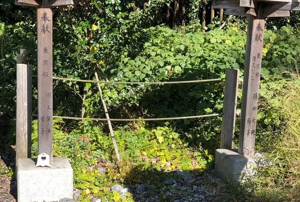 八大龍王水神の写真・動画_image_392383