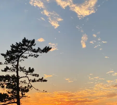神奈川県立近代美術館 葉山の写真・動画_image_392415