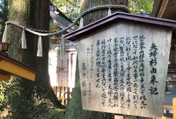 高千穂神社の写真・動画_image_392461