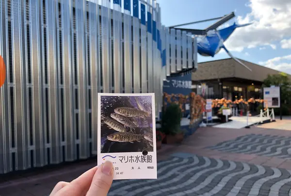 マリホ水族館の写真・動画_image_392595