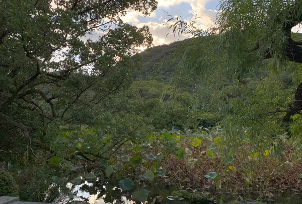 栗林公園の写真・動画_image_392799