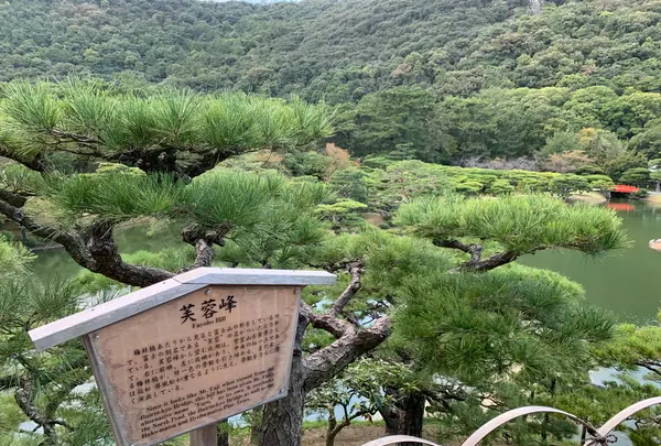 栗林公園の写真・動画_image_392804