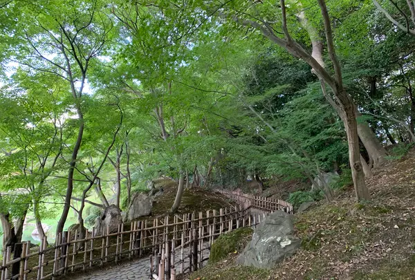栗林公園の写真・動画_image_392809